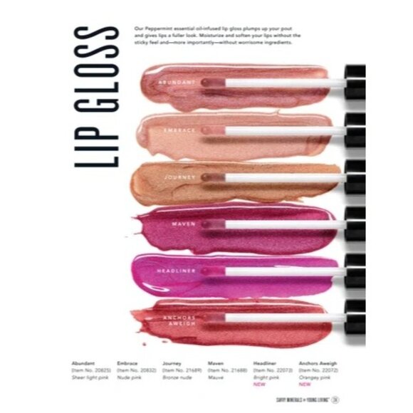 Savvy Mineral Makeup Bundle Veil Bronzer Lipgloss Brushes Young Living - Picture 6 of 8